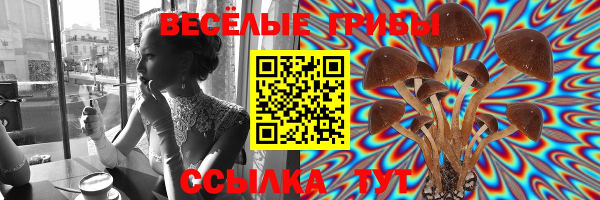 Псилоцибиновые грибы MAGIC MUSHROOMS Брянск