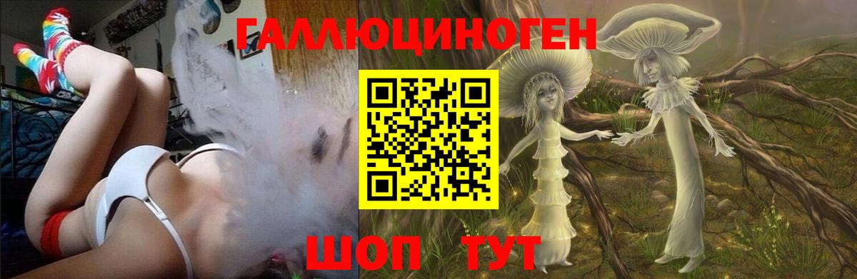 Галлюциногенные грибы Psilocybe  наркошоп  Брянск  Вход с VPN  Псилоцибиновые грибы Psilocybine cubensis 